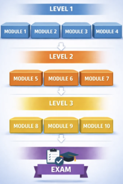 Maitland concept modules diagram